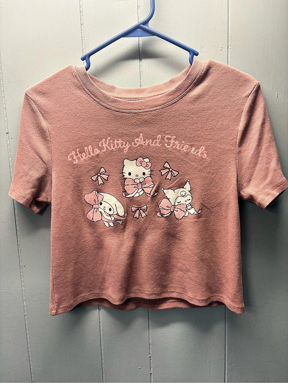 Hello Kitty Graphic Tee Pink Girls Medium (8)